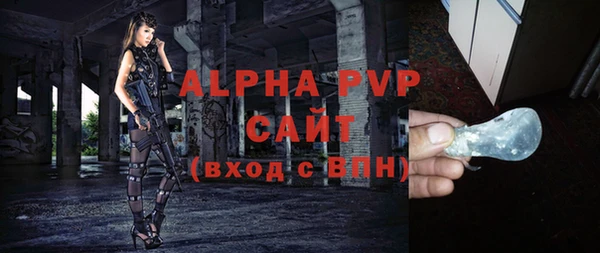 индика Алексин
