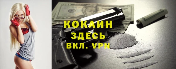прущие грибы Алексеевка