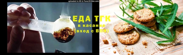 индика Алексин