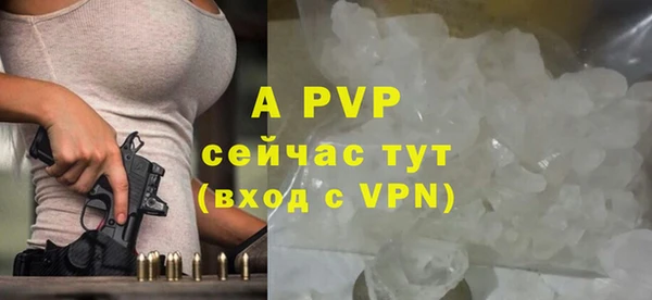 индика Алексин