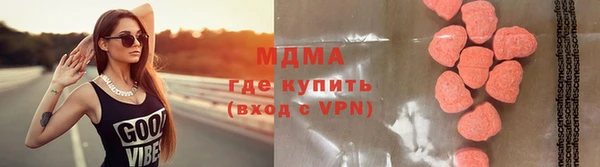 индика Алексин