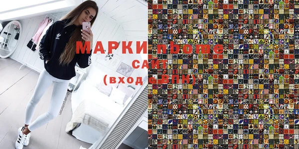 индика Алексин