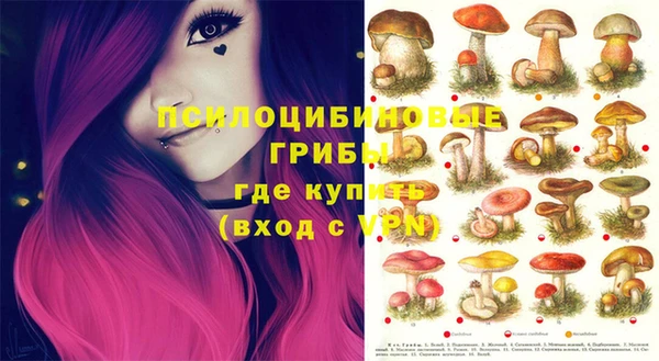 индика Алексин
