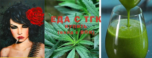 индика Алексин