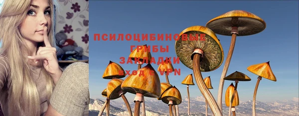 прущие грибы Алексеевка