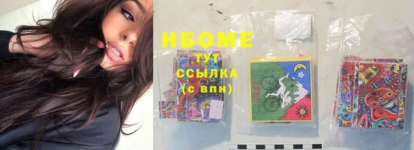 прущие грибы Алексеевка