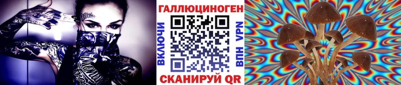 Псилоцибиновые грибы ЛСД Шадринск