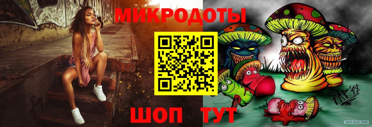 Псилоцибиновые грибы Psilocybine cubensis Шадринск
