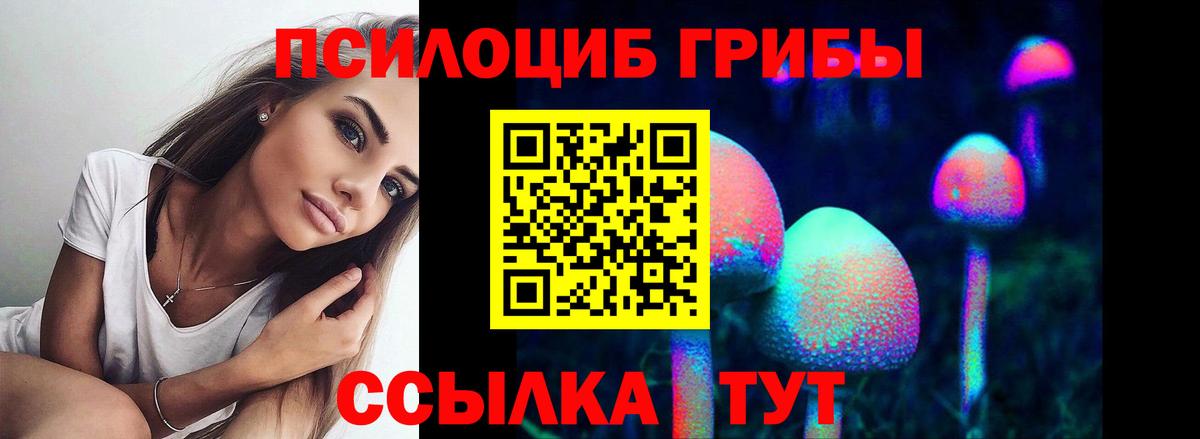 Галлюциногенные грибы Psilocybe  Вход с VPN  Шадринск 